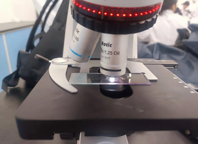 Maintenance and Reagent Specification Notes for Spray Staining and Injection Staining Instruments
